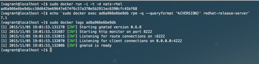 NATS Docker on redhat