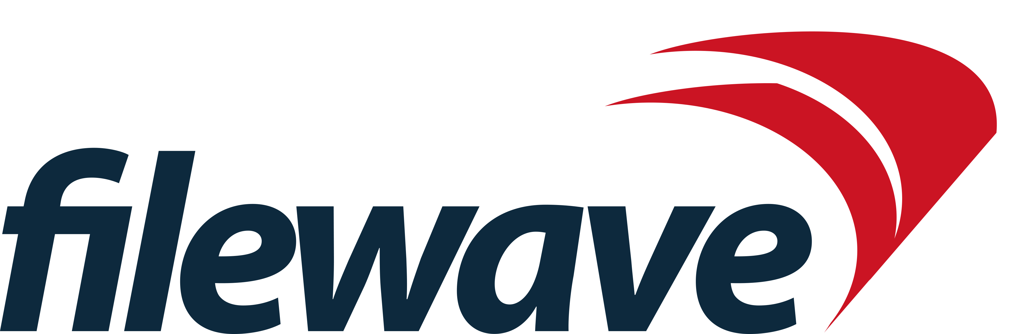 Filewave logo