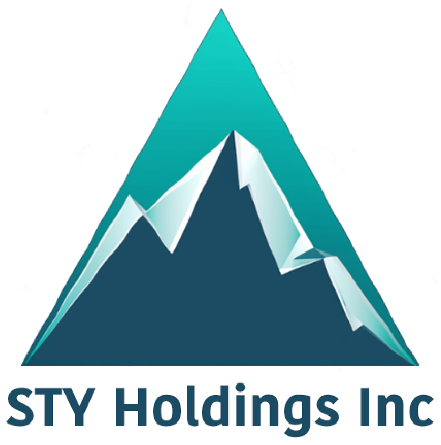 STY Holdings logo